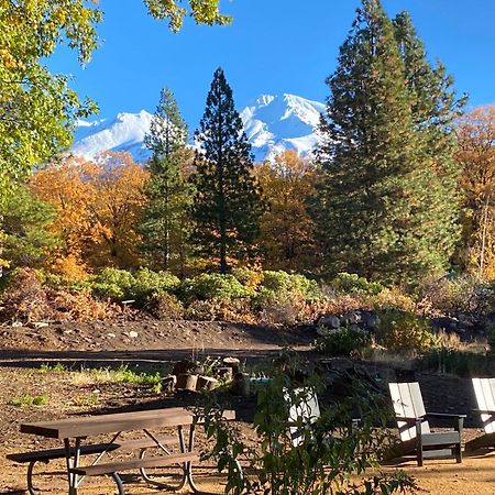 Basecamp Lodge Mount Shasta Exteriör bild
