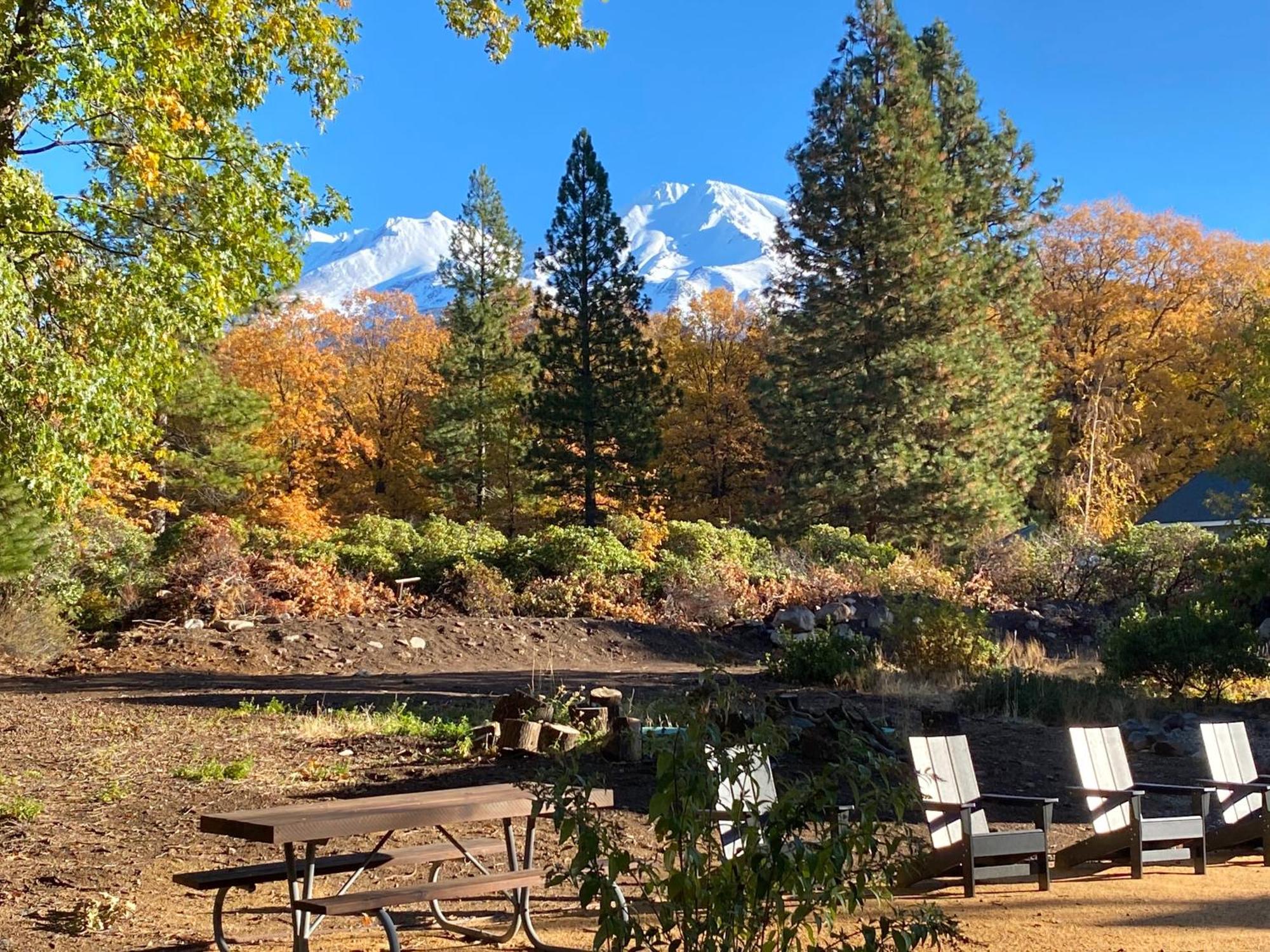Basecamp Lodge Mount Shasta Exteriör bild